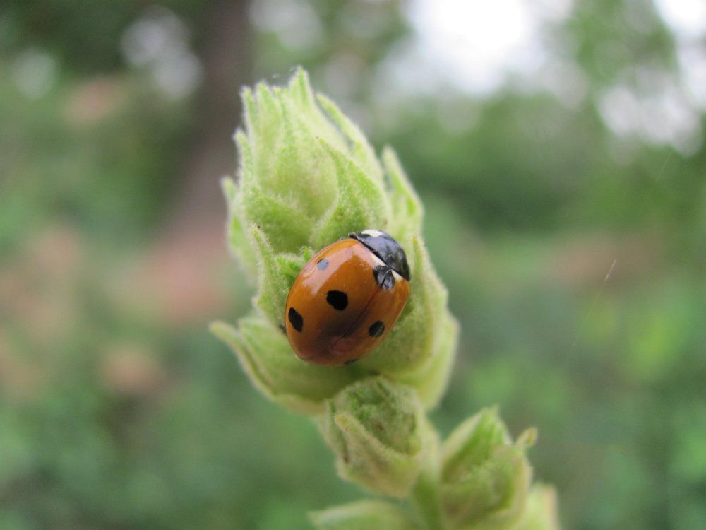 Photograph by Виктор
