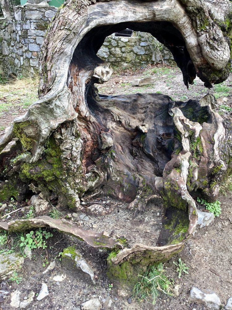 Сложная судьба.