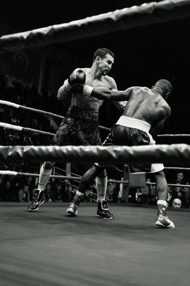 Фотография автора Алексей Зуев