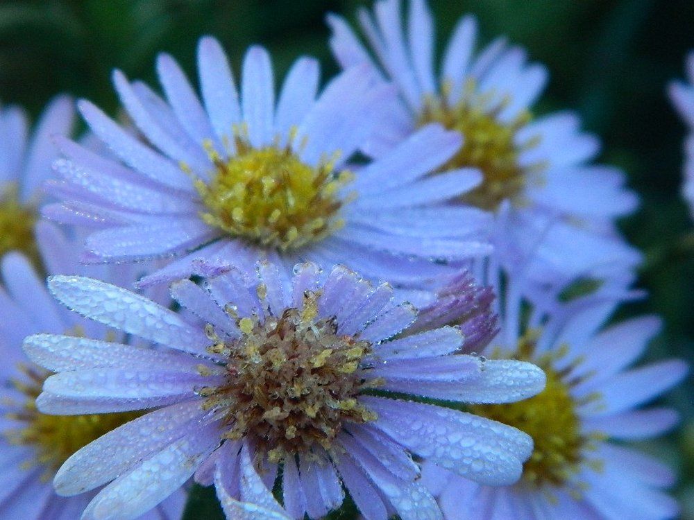 Photograph by Виктор