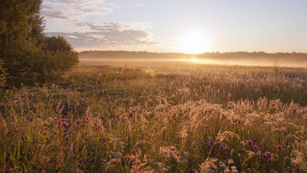 На рассвете