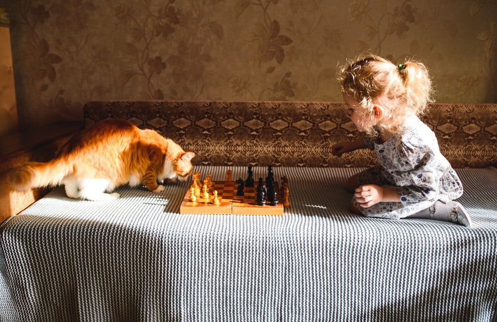 ухмылка кота