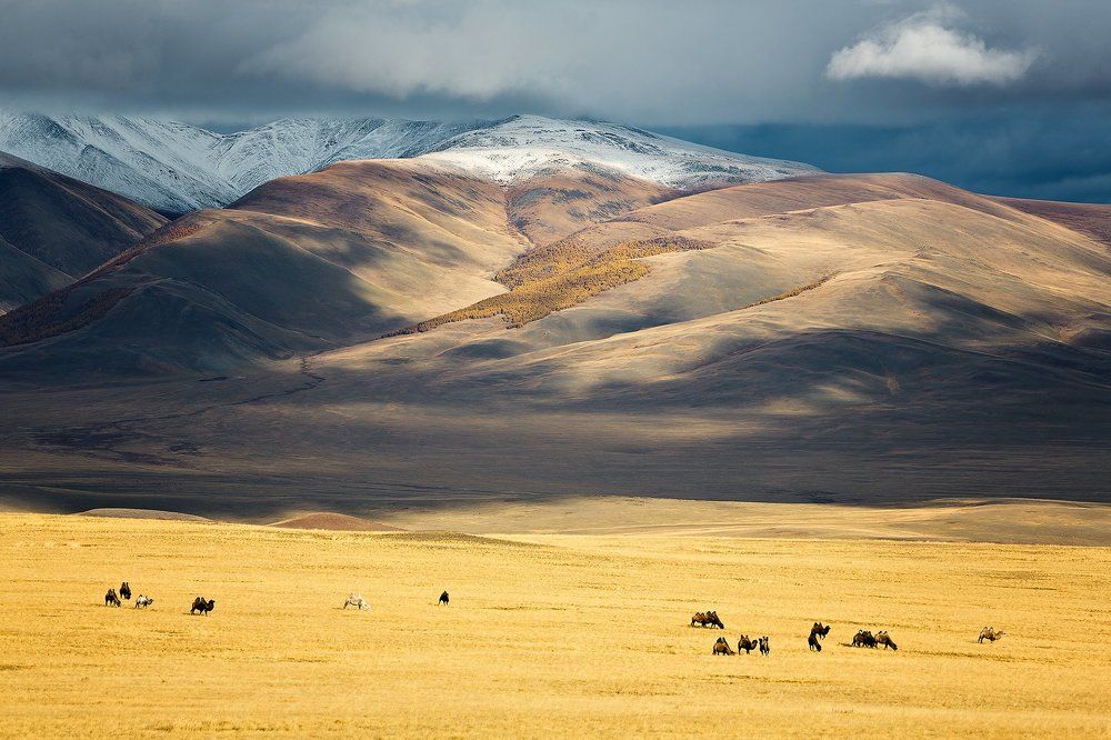 Алтайский вечер.