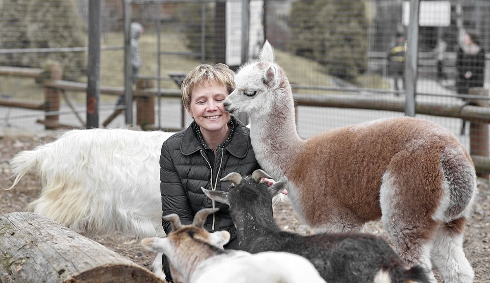 Альпачьи нежности