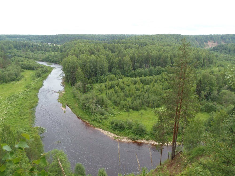 Просторы вологодские (река Стрельна, Великоустюгский район, Вологодская область)