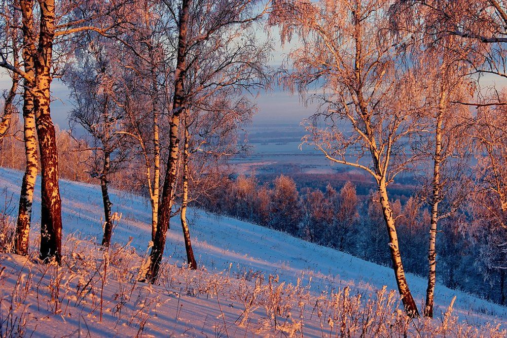 В розовых лучах закатного солнца.