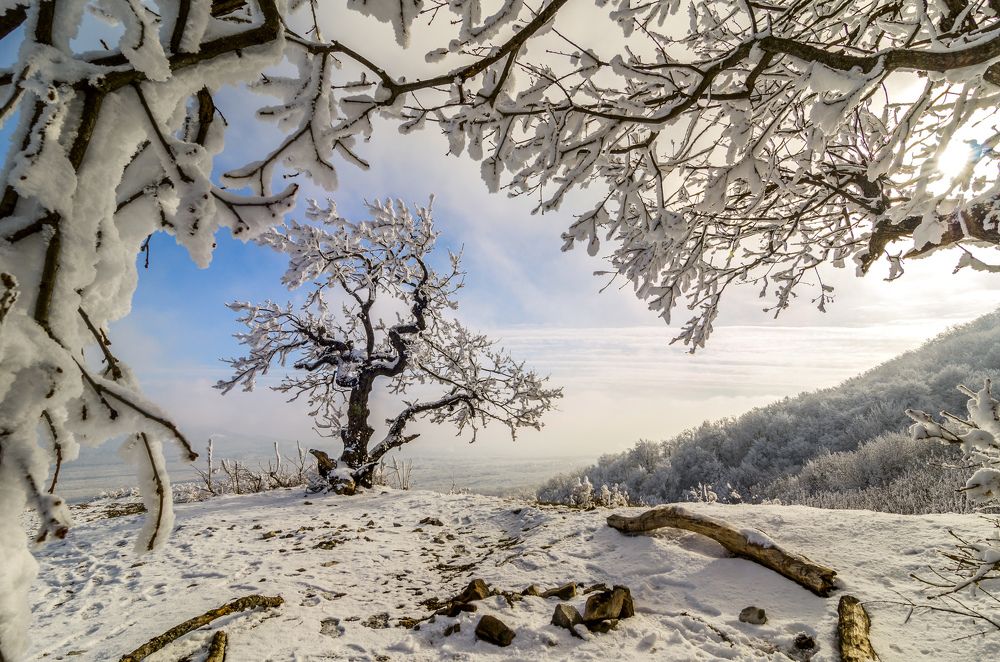 В объятиях зимы