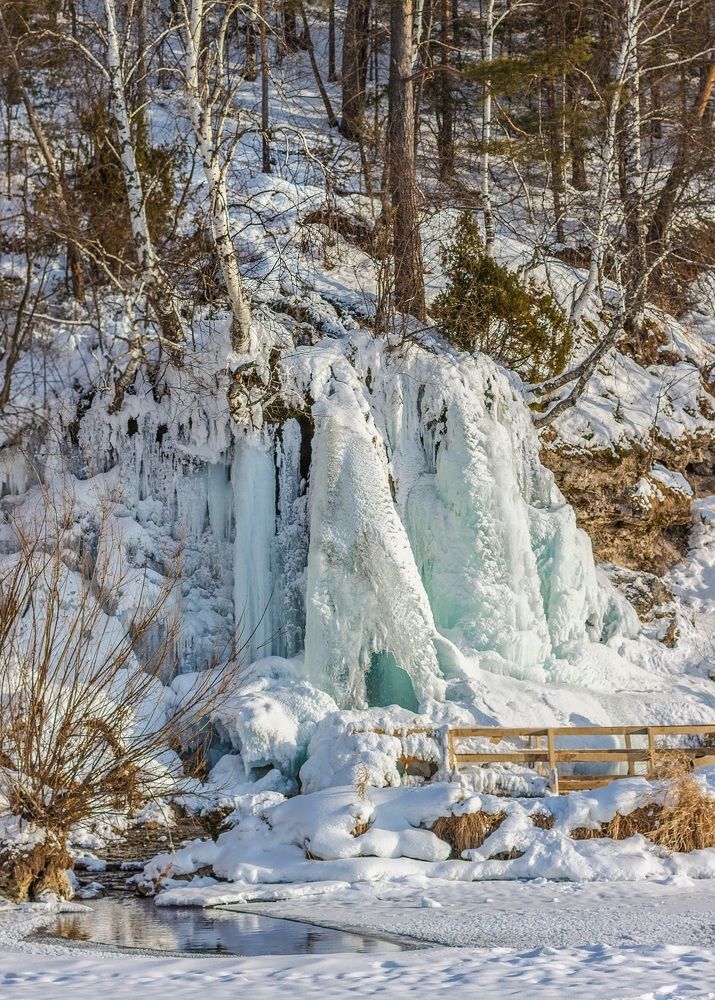 В царстве льда