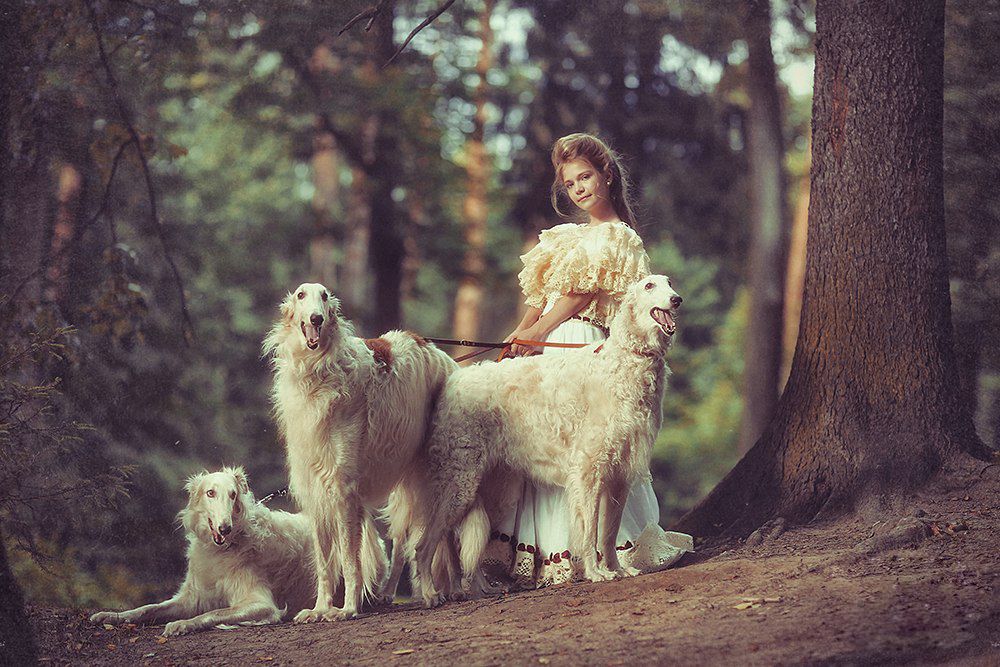 Photograph by Наталья Законова