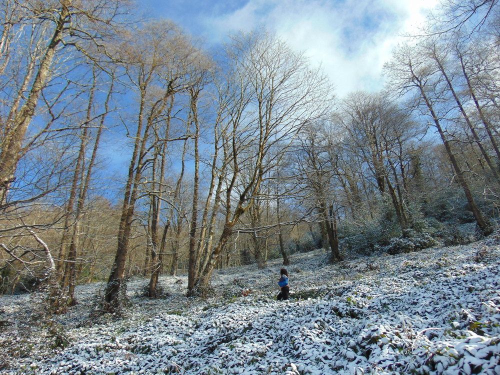 Photograph by Диляра