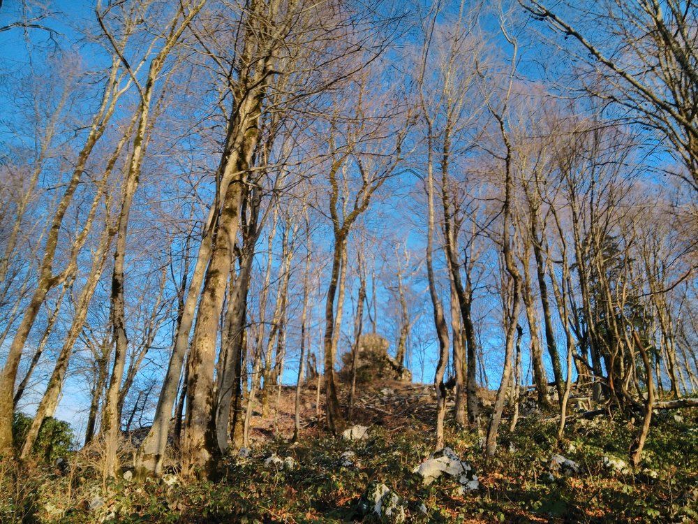 Photograph by Диляра