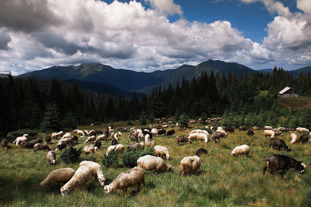 Photograph by Тим