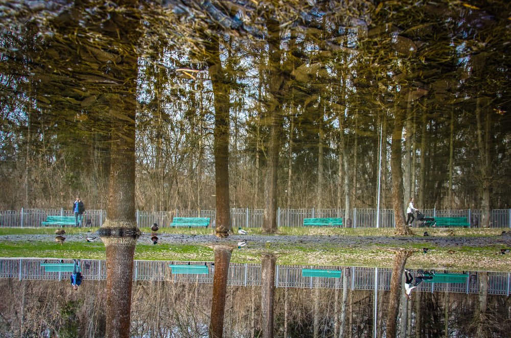 Photograph by Мілена Ковальська