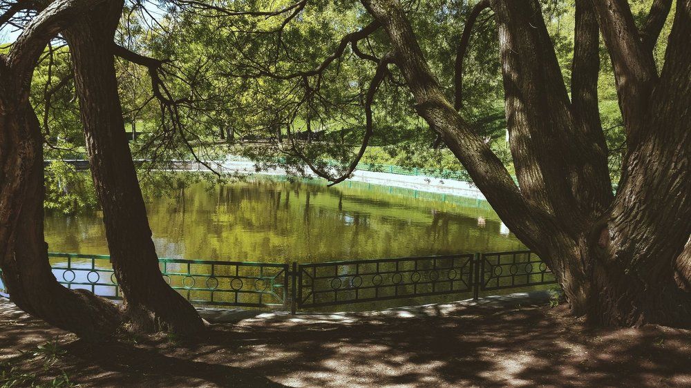 У воды