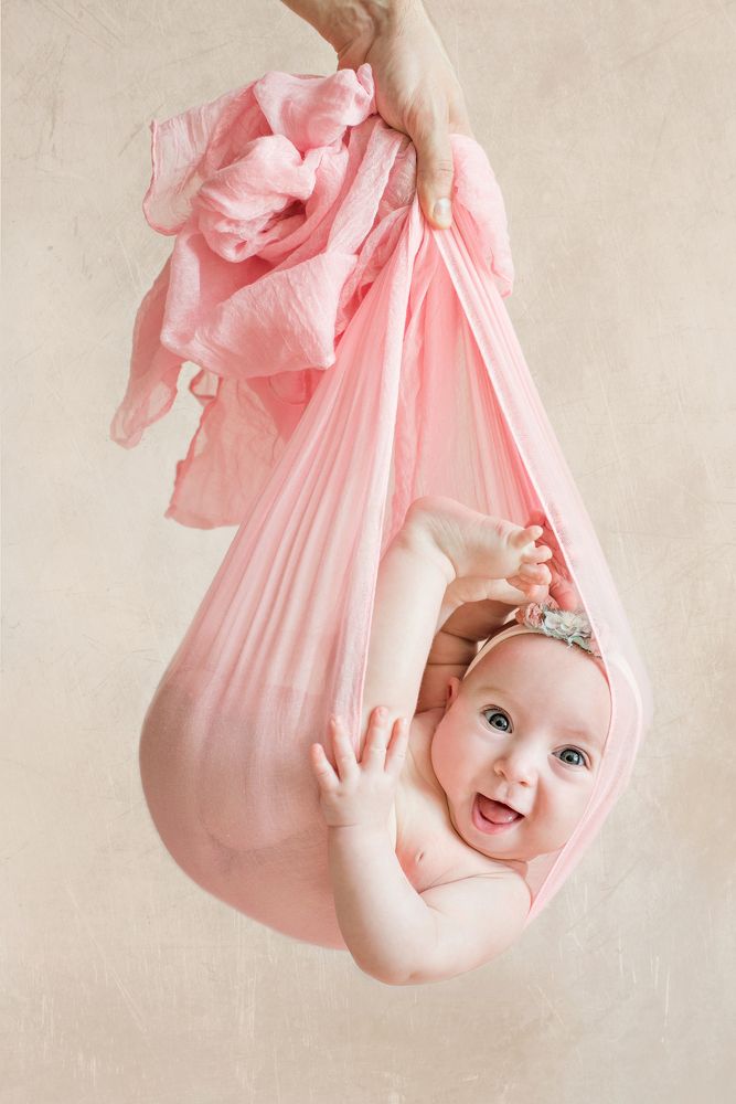 Аисты летят