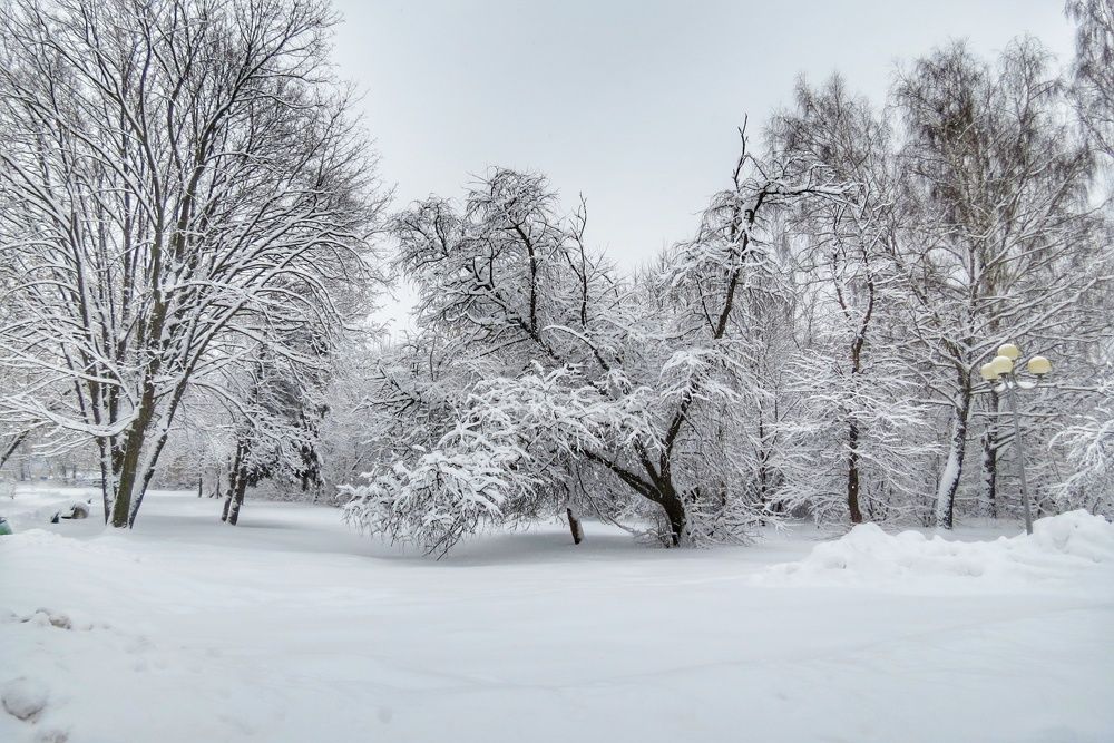 Снежный день