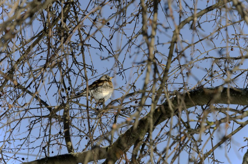 Photograph by Константин