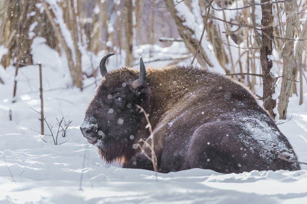 Солнечные ванны