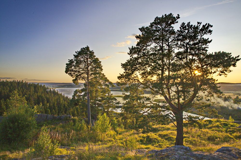 Золотой закат...