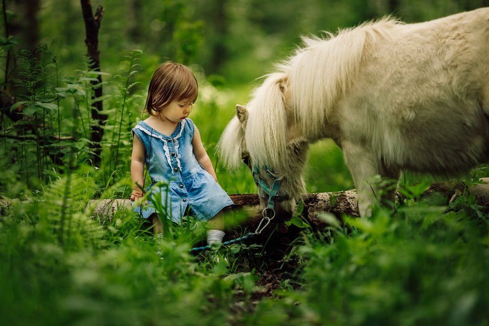 Photograph by Костюк Зоя