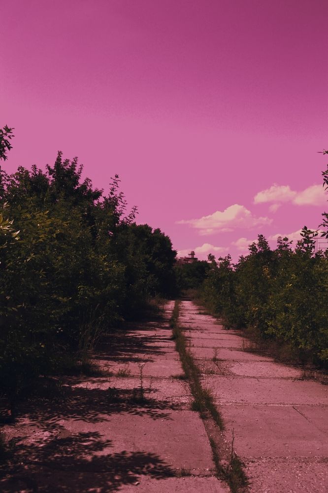 Photograph by Юлия Абакина