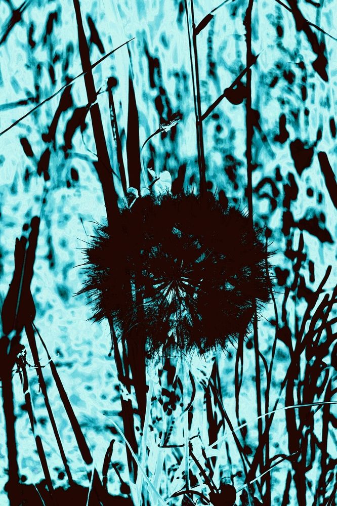 Photograph by Юлия Абакина