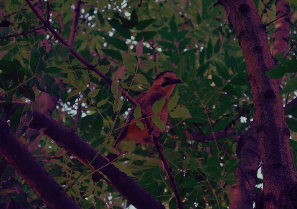 Photograph by Юлия Абакина