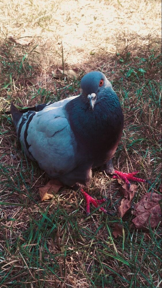 Photograph by Юлия Абакина