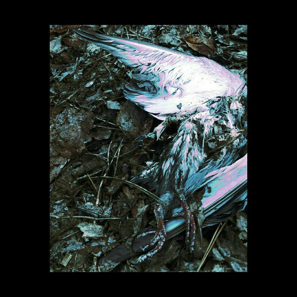 Photograph by Юлия Абакина