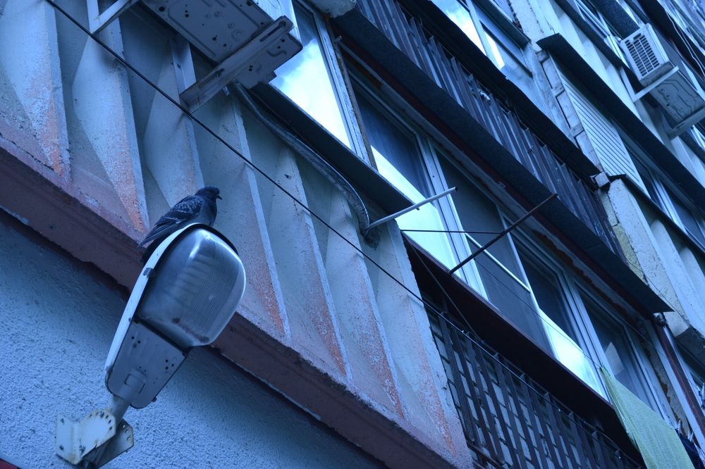 Photograph by Юлия Абакина