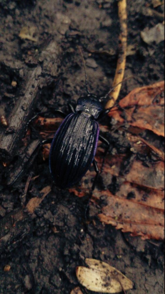 Photograph by Юлия Абакина