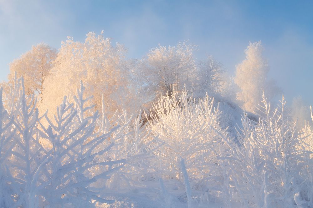 Зимняя сказка.