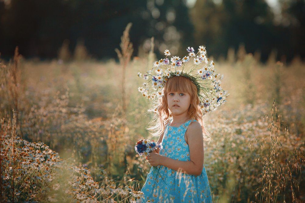 Ромашковое поле