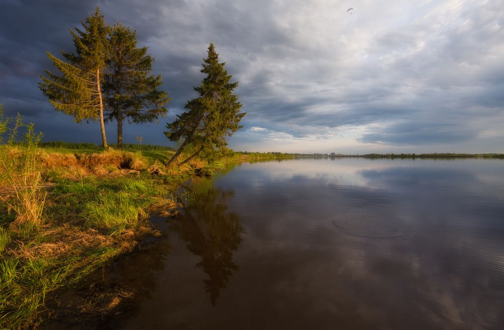 Выжить любой ценой