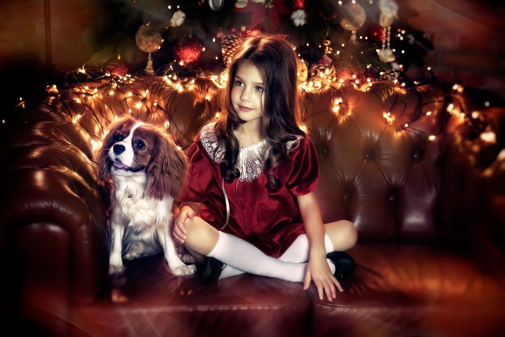 Что нам Дед Мороз принес?