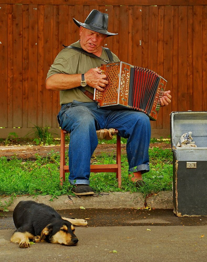 Играй гармонь, играй на все лады