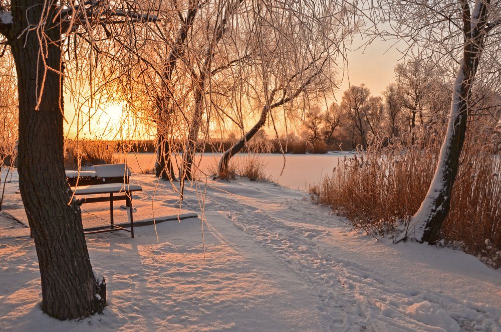 Розовый свет утра