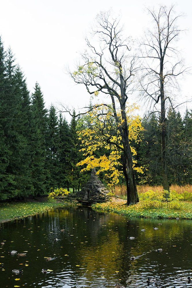 Мертвый сезон