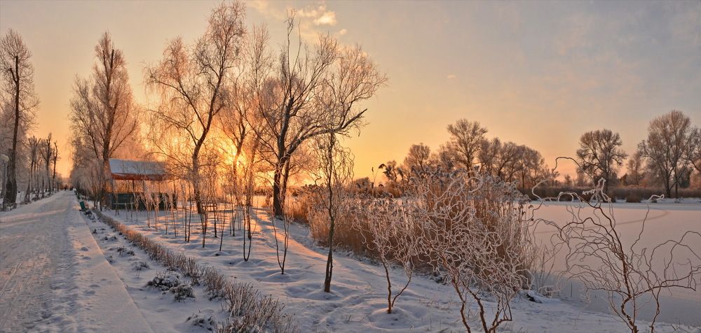 Про одно зимнее утро
