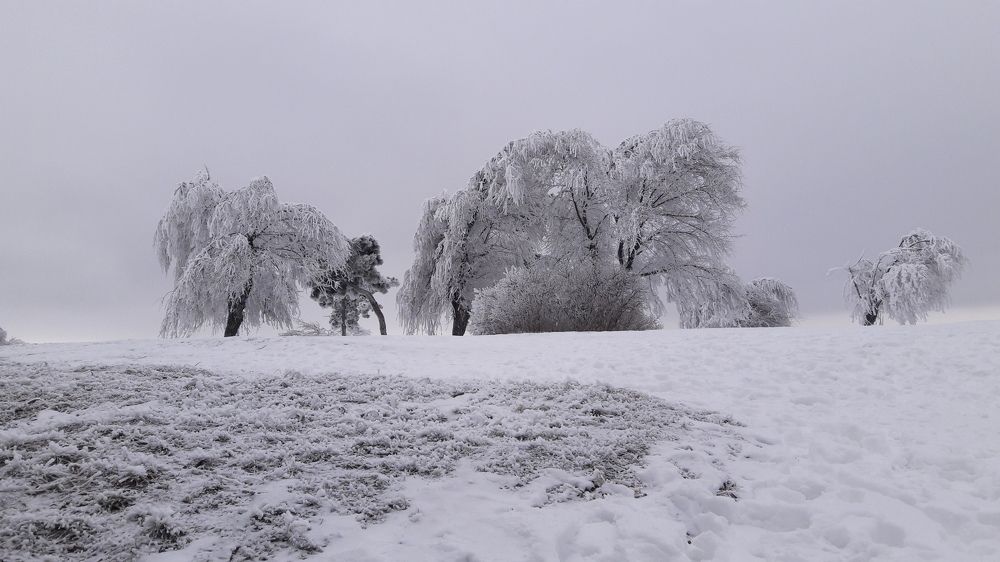 Зимняя сказка