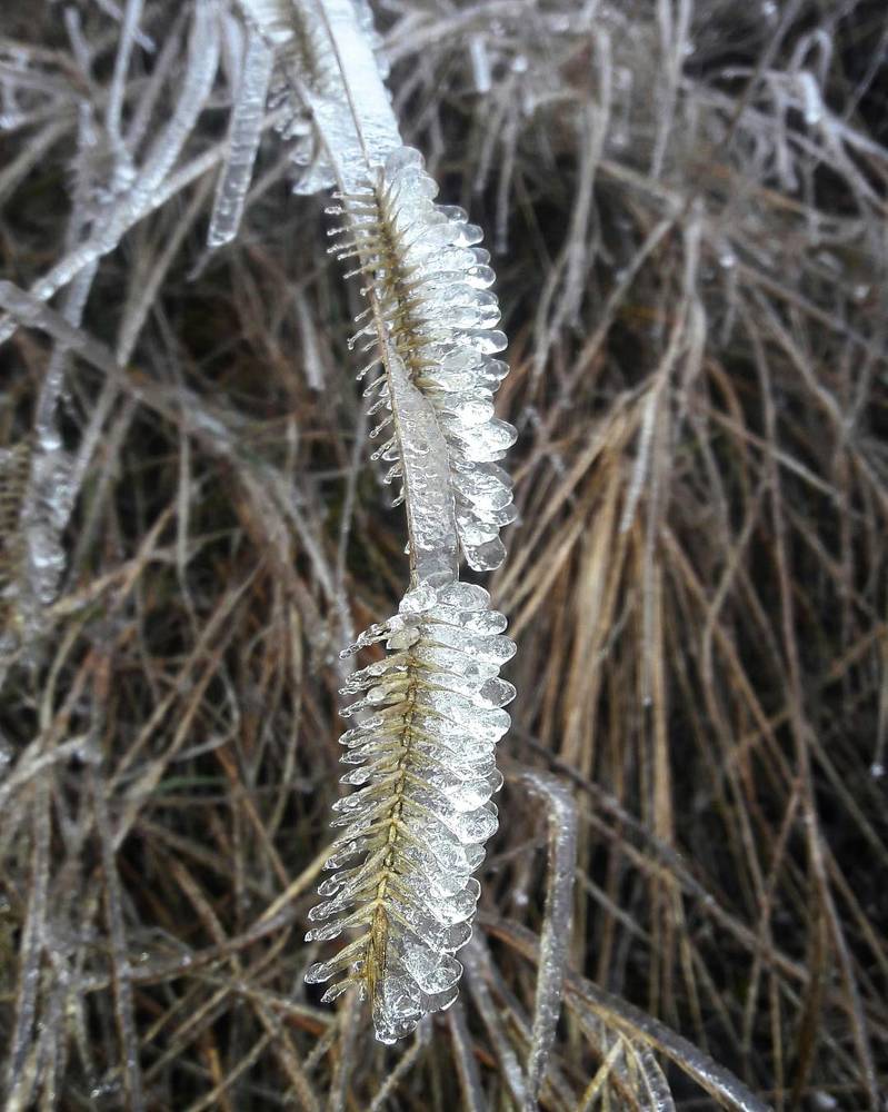 Ледяной колос