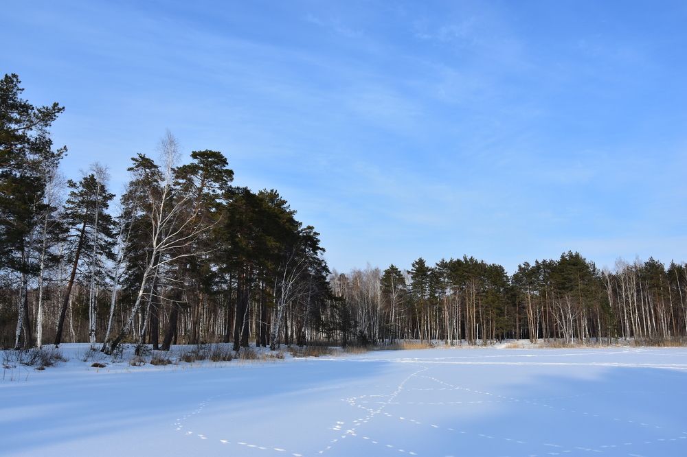 Photograph by Валерий Гудков