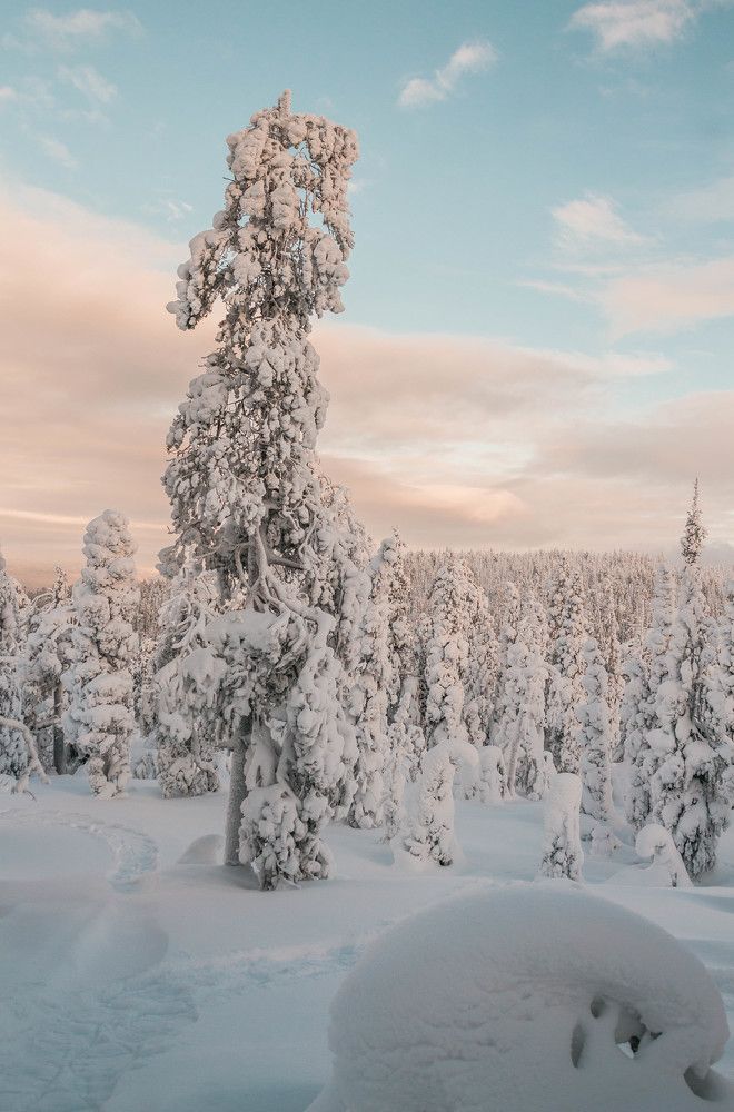 Photograph by Антон