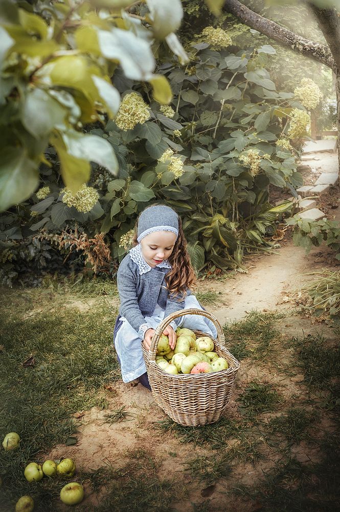Яблоневый сад