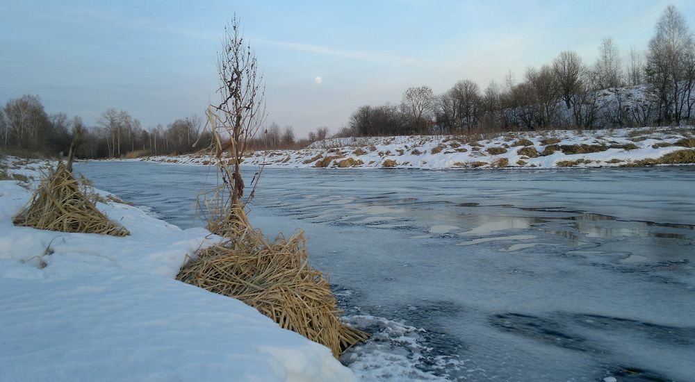 У реки / By the river