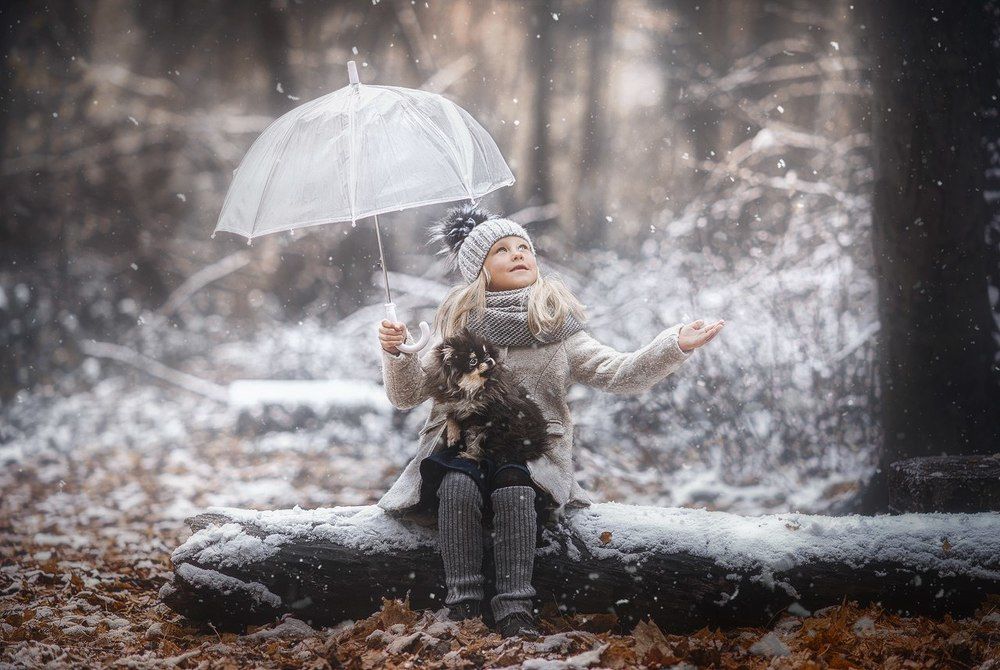 Первый снег