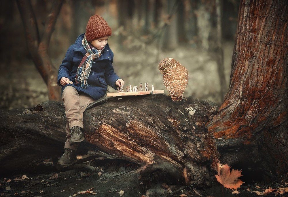 Шахматисты