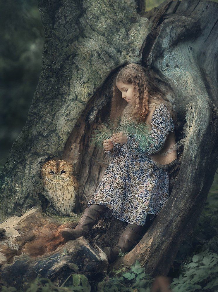 Машины грезы