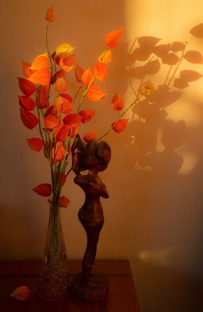 Сегодня всего -2, а я уже думаю про Африку:)