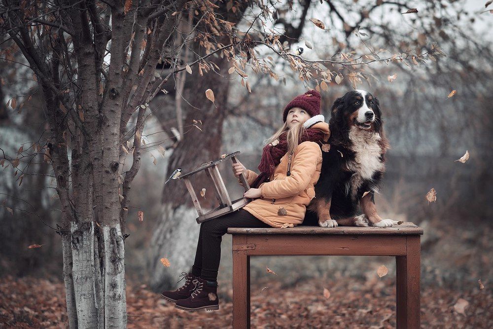 Созерцание